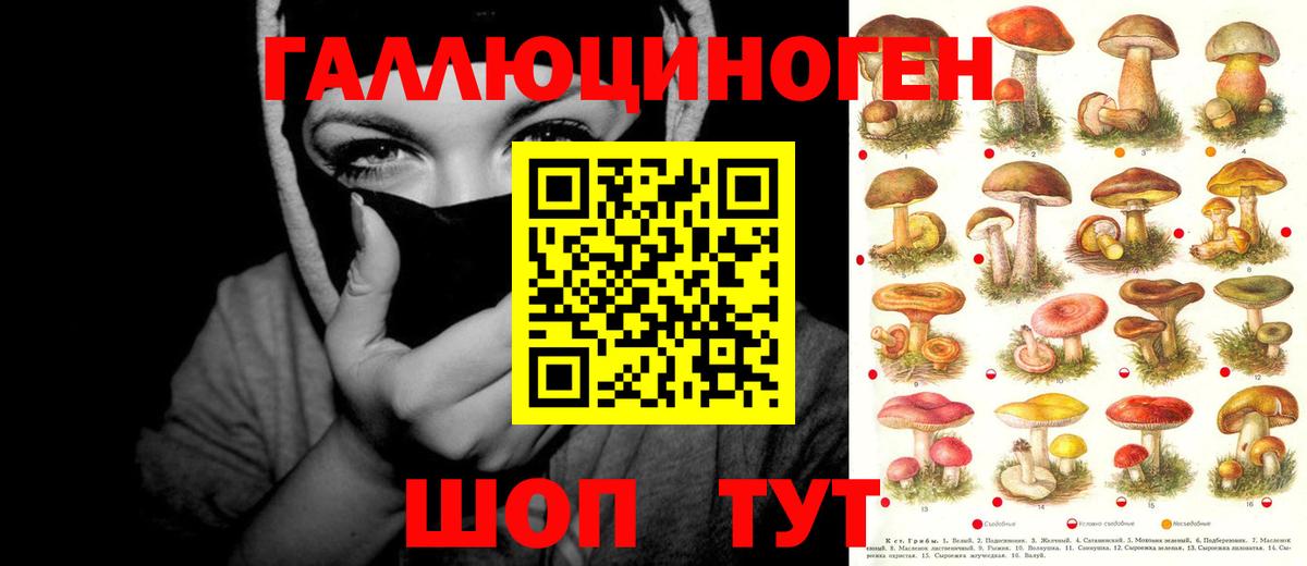 Галлюциногенные грибы GOLDEN TEACHER Белая Калитва